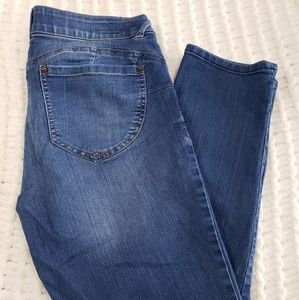 Democracy "AB" Solution Blue Ankle Skimmer